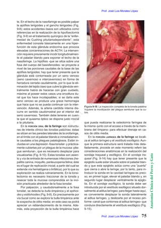 LIBRO ANATOMIA CLINICA pdf libro-anatomia-clinica-pdf
