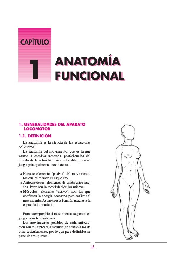Libro anatomia funcional