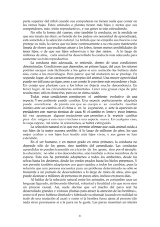 parte superior del árbol cuando sus compañeras no tienen nada que comer en
las ramas bajas. Estos animales o plantas tienen más hijos y nietos que sus
competidores, más «éxito reproductivo», y sus genes se irán extendiendo.
No sólo la forma del cuerpo, sino también la conducta, en la medida en
que sea innata (es decir, se herede de los padres sin necesidad de aprendizaje),
está sometida a la selección natural. La tórtola que no empolla sus huevos o no
protege su nido, la cierva que no lame continuamente a su cría para mantenerla
limpia de olores que pudieran atraer a los lobos, tienen menos posibilidades de
tener hijos, o de que sus hijos sobrevivan y les den nietos. A lo largo de
millones de años, cada animal ha desarrollado la conducta más adecuada para
aumentar su éxito reproductivo.
La conducta más adecuada, se entiende, dentro de unas condiciones
determinadas. Condiciones que dependen, en primer lugar, del azar: los ratones
podrían escapar más fácilmente a los gatos si una mutación les hubiera dado
alas, como a los murciélagos. Pero parece que tal mutación no se produjo. En
segundo lugar, de las características propias del animal. Una mayor agresividad
puede ser útil para un tigre, pero a un conejo le conviene más esconderse y huir.
Un conejo que plantase cara a los lobos no dejaría mucha descendencia. En
tercer lugar, de las circunstancias ambientales. Tener una gruesa capa de pelo
resulta muy útil en clima frío, pero no en clima cálido.
Todas estas condiciones constituyen el ambiente evolutivo de una
especie. Y ese ambiente puede cambiar. Una especie perfectamente adaptada
puede encontrarse de pronto con que su cuerpo o su conducta resultan
inútiles ante un cambio en el clima o en la vegetación, o ante la aparición de
predadores con nuevas técnicas de caza. Si el cambio es lento y poco intenso,
tal vez aparezcan algunas mutaciones que permitan a la especie cambiar
para dar origen a una raza o incluso a una especie nueva. En cualquier caso,
la vieja especie, tal corno la conocíamos, se habrá extinguido.
La selección natural es lo que nos permite afirmar que cada animal cuida a
sus hijos de la mejor manera posible. A lo largo de millones de años, los que
mejor criaban a sus hijos han tenido más hijos vivos, y sus genes se han
extendido.
En el ser humano, y en menor grado en otros primates, la conducta no
depende sólo de los genes, sino también del aprendizaje. Las conductas
aprendidas se pueden transmitir no a través de los genes, sino por el ejemplo.
la educación; no sólo a los descendientes, sino también a otros miembros de la
especie. Esto nos ha permitido adaptarnos a todos los ambientes, desde las
selvas hasta los desiertos, desde los verdes prados hasta los hielos perpetuos. Y
nos permite también adaptarnos con gran rapidez a todos los cambios, pues la
solución que una persona encuentra para un problema determinado no sólo se
transmite a un puñado de descendientes a lo largo de miles de años, sino que
puede alcanzar a millones de personas en pocos años, incluso en pocos días.
Al hablar de la selección natural entre los animales, es costumbre usar un
lenguaje figurado, atribuyendo libertad, voluntad y finalidad a lo que no es sino
un proceso casual. Así, suele decirse que «el macho del pavo real ha
desarrollado grandes y vistosas plumas para atraer la atención de las hembras»,
como si el pavo hubiera diseñado y fabricado su plumaje (cuando en realidad se
trató de una mutación al azar) y como si la hembra fuera ajena al proceso (de
nada sirve pavonearse si a la pava no le gusta. Las pavas muestran un interés
21
 