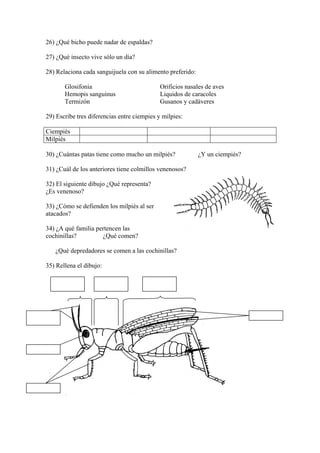 26) ¿Qué bicho puede nadar de espaldas?

27) ¿Qué insecto vive sólo un día?

28) Relaciona cada sanguijuela con su alimento preferido:

       Glosifonia                            Orificios nasales de aves
       Hemopis sanguinus                     Liquidos de caracoles
       Termizón                              Gusanos y cadáveres

29) Escribe tres diferencias entre ciempies y milpies:

Ciempiés
Milpiés

30) ¿Cuántas patas tiene como mucho un milpiés?             ¿Y un ciempiés?

31) ¿Cuál de los anteriores tiene colmillos venenosos?

32) El siguiente dibujo ¿Qué representa?
¿Es venenoso?

33) ¿Cómo se defienden los milpiés al ser
atacados?

34) ¿A qué familia pertencen las
cochinillas?         ¿Qué comen?

   ¿Qué depredadores se comen a las cochinillas?

35) Rellena el dibujo:
 