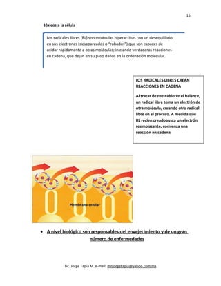 15
tóxicos a la célula
• A nivel biológico son responsables del envejecimiento y de un gran
número de enfermedades
Lic. Jorge Tapia M. e-mail: mnjorgetapia@yahoo.com.mx
Los radicales libres (RL) son moléculas hiperactivas con un desequilibrio
en sus electrones (desapareados o “robados”) que son capaces de
oxidar rápidamente a otras moléculas; iniciando verdaderas reacciones
en cadena, que dejan en su paso daños en la ordenación molecular.
Los radicales libres (RL) son moléculas hiperactivas con un desequilibrio
en sus electrones (desapareados o “robados”) que son capaces de
oxidar rápidamente a otras moléculas; iniciando verdaderas reacciones
en cadena, que dejan en su paso daños en la ordenación molecular.
LOS RADICALES LIBRES CREAN
REACCIONES EN CADENA
Al tratar de reestablecer el balance,
un radical libre toma un electrón de
otra molécula, creando otro radical
libre en el proceso. A medida que
RL recien creadobusca un electrón
reemplazante, comienza una
reacción en cadena
 