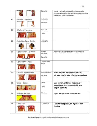 50
Bacteria vaginal y sangrado, epistaxis. Principal causa de
cáncer cervicouterino si se asocia con la pseudomona
o la yersinia dando falso cáncer
27 Calcáneo – Calcáneo Rickettsia
Bacteria
28 Cáliz Renal – Urétero Herpes V
Virus
29 Canto Ojo - Canto Del Ojo Aspergilus
30 Cápsula Renal– Cáp Renal Proteus
mirabilis
Bacteria
Produce lupus eritematoso sistemático
31 Cápsula renal – Vejiga Toxinas en el
riñón
32 Cardias – Suprarrenales Estreptococo B
Bacteria
Alteraciones a nivel de cardias,
varices esofágicas y fiebre reumática
33 Carina – Carina Aftosa
Virus
Muy común, síntomas traqueales y
bronquiales, se trasmite por lácteos
(yogurt y yakult)
34 Carótida - Carótida Marimar Hipertensión arterial sistémica
35 Cava – Cava Trycophyto Dolor de espalda, se ayudan con
fluvina
Lic. Jorge Tapia M. e-mail: mnjorgetapia@yahoo.com.mx
 