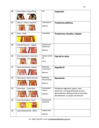 52
46 Cisura Silvio – Cisura Silvio Sor Inspiración
47 Clítoris – Clítoris o pelvis 8 Espiroqueta
Bacteria
Trastornos pélvicos
48 Codo – Codo Castañeda Trastornos visuales, miopía
49 Cola De Páncreas – Hígado Chlostirium
botulinum
Bacteria
50 Colon Ascendente -Colon Desc Herpes zoster
(1)
Virus
Faja de la reina
51 Colon Ascendente- Hígado Klebsiella
neumoniae
Bacteria
Hepatitis B
52 Colon Ascen- Riñón Derecho Klebsiella
Pneurnoniae
Bacteria
Neumonía
53 Colon Desc. - Colon Desc. Enterobácter
cloacae
Bacteria
Problemas digestivos, gases, mala
absorción, a la larga distiende al colon
descendente y desplaza todo al otro lado
del abdomen, se ayuda con bismuto
54 Colon Descendente - Recto Obstrucción
intestinal
55 Colon Descendente - Riñón Pasteur ella
Bacteria
Lic. Jorge Tapia M. e-mail: mnjorgetapia@yahoo.com.mx
 