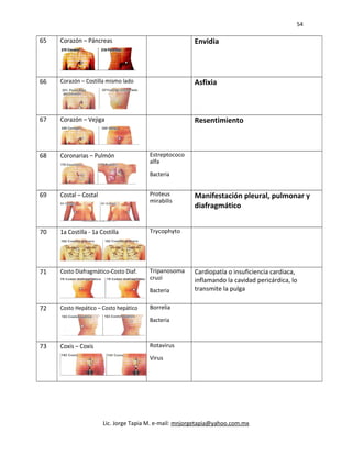 54
65 Corazón – Páncreas Envidia
66 Corazón – Costilla mismo lado Asfixia
67 Corazón – Vejiga Resentimiento
68 Coronarias – Pulmón Estreptococo
alfa
Bacteria
69 Costal – Costal Proteus
mirabilis
Manifestación pleural, pulmonar y
diafragmático
70 1a Costilla - 1a Costilla Trycophyto
71 Costo Diafragmático-Costo Diaf. Tripanosoma
cruzi
Bacteria
Cardiopatía o insuficiencia cardiaca,
inflamando la cavidad pericárdica, lo
transmite la pulga
72 Costo Hepático – Costo hepático Borrelia
Bacteria
73 Coxis – Coxis Rotavirus
Virus
Lic. Jorge Tapia M. e-mail: mnjorgetapia@yahoo.com.mx
 