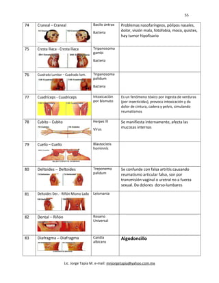 55
74 Craneal – Craneal Bacilo ántrax
Bacteria
Problemas nasofaríngeos, pólipos nasales,
dolor, visión mala, fotofobia, moco, quistes,
hay tumor hipofisario
75 Cresta Iliaca - Cresta Iliaca Tripanosoma
gambi
Bacteria
76 Cuadrado Lumbar – Cuadrado lum. Tripanosoma
palidum
Bacteria
77 Cuadriceps - Cuadriceps Intoxicación
por bismuto
Es un fenómeno tóxico por ingesta de verduras
(por insecticidas), provoca intoxicación y da
dolor de cintura, cadera y pelvis, simulando
reumatismos
78 Cubito – Cubito Herpes III
Virus
Se manifiesta internamente, afecta las
mucosas internas
79 Cuello – Cuello Blastocistis
hominnís
80 Deltoides – Deltoides Treponema
palidum
Se confunde con falsa artritis causando
reumatismo articular falso, son por
transmisión vaginal o uretral no a fuerza
sexual. Da dolores dorso-lumbares
81 Deltoides Der. - Riñón Mismo Lado Leismania
82 Dental – Riñón Rosario
Universal
83 Diafragma – Diafragma Candía
albicans
Algodoncillo
Lic. Jorge Tapia M. e-mail: mnjorgetapia@yahoo.com.mx
 