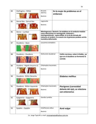 56
84 Diafragma – Riñón Brúcela
abortus
Bacteria
En la mujer da problemas en el
embarazo
85 Dorsal Dos - Dorsal Dos Legionella
Bacteria
86 Dorso – Lumbar Meningococo. Bacteria. Se establece en el conducto modular
causa alteraciones en meningocele, mielocele y
meningomielocele , espina bífida, es la vía de entrada del
cisticerco al cerebro; si se asocia con el gonococo produce artritis
reumática deformante
87 Duodeno – Bazo Leucemia verdadera
88 Duodeno – Duodeno Disfunción duodenal Colitis nerviosa, colon irritable,, ya
que en el duodeno se fermenta la
comida
89 Duodeno - Hígado (Hepatitis D) Chlamydia tracomatis
Bacteria
90 Duodeno - Riñón Derecho Diabetes mellitus
91 Duodeno - Riñón Izquierdo Chlamydia tracomatis
Bacteria
Pterigones (carnosidad
delante del ojo), se relaciona
con enterovirus
92 Epigastrio – Epigastrio Giardia Lamblia
93 Epiplón – Epiplón Estafilococo albus
Bacteria
Acné vulgar
Lic. Jorge Tapia M. e-mail: mnjorgetapia@yahoo.com.mx
 
