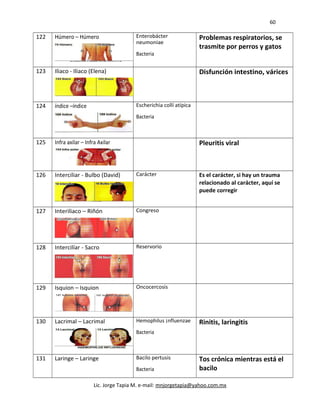 60
122 Húmero – Húmero Enterobácter
neumoniae
Bacteria
Problemas respiratorios, se
trasmite por perros y gatos
123 Iliaco - Iliaco (Elena) Disfunción intestino, várices
124 índice –índice Escherichia collí atípica
Bacteria
125 Infra axilar – Infra Axilar Pleuritis viral
126 Interciliar - Bulbo (David) Carácter Es el carácter, si hay un trauma
relacionado al carácter, aquí se
puede corregir
127 Interiliaco – Riñón Congreso
128 Intercilíar - Sacro Reservorio
129 Isquion – Isquion Oncocercosis
130 Lacrimal – Lacrimal Hemophilus ¡nfluenzae
Bacteria
Rinitis, laringitis
131 Laringe – Laringe Bacilo pertusis
Bacteria
Tos crónica mientras está el
bacilo
Lic. Jorge Tapia M. e-mail: mnjorgetapia@yahoo.com.mx
 