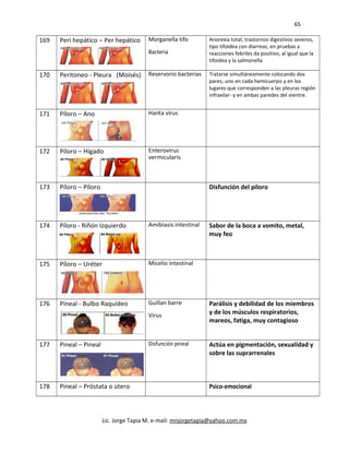 65
169 Peri hepático – Per hepático Morganella tifo
Bacteria
Anorexia total, trastornos digestivos severos,
tipo tifoidea con diarreas, en pruebas a
reacciones febriles da positivo, al igual que la
tifoidea y la salmonella
170 Peritoneo - Pleura (Moisés) Reservorio bacterias Tratarse simultáneamente colocando dos
pares; uno en cada hemicuerpo y en los
lugares que corresponden a las pleuras región
infraxilar- y en ambas paredes del vientre.
171 Píloro – Ano Hanta virus
172 Píloro – Hígado Enterovirus
vermicularis
173 Píloro – Píloro Disfunción del píloro
174 Píloro - Riñón Izquierdo Amibiasis intestinal Sabor de la boca a vomito, metal,
muy feo
175 Píloro – Uréter Micelio intestinal
176 Pineal - Bulbo Raquídeo Guillan barre
Virus
Parálisis y debilidad de los miembros
y de los músculos respiratorios,
mareos, fatiga, muy contagioso
177 Pineal – Pineal Disfunción pineal Actúa en pigmentación, sexualidad y
sobre las suprarrenales
178 Pineal – Próstata o útero Psico-emocional
Lic. Jorge Tapia M. e-mail: mnjorgetapia@yahoo.com.mx
 