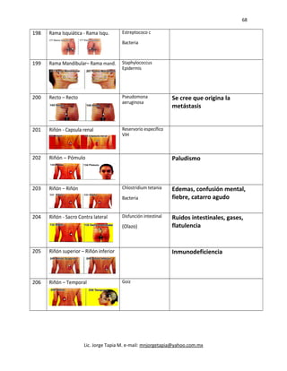 68
198 Rama Isquiática - Rama Isqu. Estreptococo c
Bacteria
199 Rama Mandibular– Rama mand. Staphylococcus
Epidermis
200 Recto – Recto Pseudomona
aeruginosa
Se cree que origina la
metástasis
201 Riñón - Capsula renal Reservorio específico
VIH
202 Riñón – Pómulo Paludismo
203 Riñón – Riñón Chlostridium tetania
Bacteria
Edemas, confusión mental,
fiebre, catarro agudo
204 Riñón - Sacro Contra lateral Disfunción intestinal
(Olazo)
Ruidos intestinales, gases,
flatulencia
205 Riñón superior – Riñón inferior Inmunodeficiencia
206 Riñón – Temporal Goiz
Lic. Jorge Tapia M. e-mail: mnjorgetapia@yahoo.com.mx
 