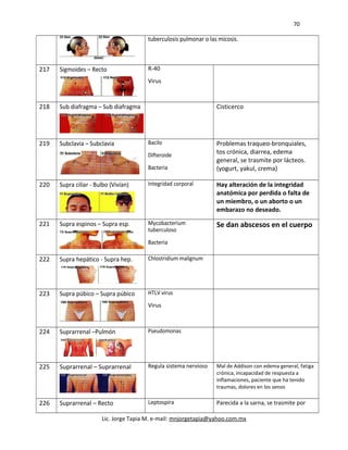 70
tuberculosis pulmonar o las micosis.
217 Sigmoides – Recto R-40
Virus
218 Sub diafragma – Sub diafragma Cisticerco
219 Subclavia – Subclavia Bacilo
Difteroide
Bacteria
Problemas traqueo-bronquiales,
tos crónica, diarrea, edema
general, se trasmite por lácteos.
(yogurt, yakul, crema)
220 Supra ciliar - Bulbo (Vivían) Integridad corporal Hay alteración de la integridad
anatómica por perdida o falta de
un miembro, o un aborto o un
embarazo no deseado.
221 Supra espinos – Supra esp. Mycobacterium
tuberculoso
Bacteria
Se dan abscesos en el cuerpo
222 Supra hepático - Supra hep. Chlostridíum malignum
223 Supra púbico – Supra púbico HTLV virus
Virus
224 Suprarrenal –Pulmón Pseudomonas
225 Suprarrenal – Suprarrenal Regula sistema nervioso Mal de Addison con edema general, fatiga
crónica, incapacidad de respuesta a
inflamaciones, paciente que ha tenido
traumas, dolores en los senos
226 Suprarrenal – Recto Leptospira Parecida a la sarna, se trasmite por
Lic. Jorge Tapia M. e-mail: mnjorgetapia@yahoo.com.mx
 