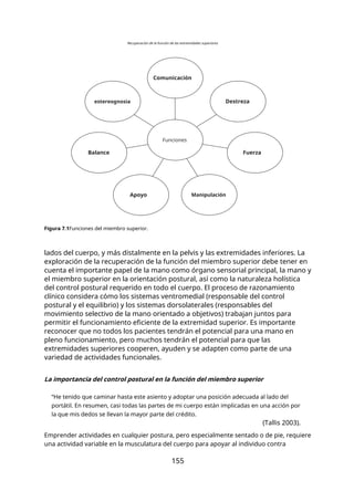 Recuperación de la función de las extremidades superiores
Comunicación
estereognosia Destreza
Funciones
Balance Fuerza
Apoyo Manipulación
Figura 7.1Funciones del miembro superior.
lados del cuerpo, y más distalmente en la pelvis y las extremidades inferiores. La
exploración de la recuperación de la función del miembro superior debe tener en
cuenta el importante papel de la mano como órgano sensorial principal, la mano y
el miembro superior en la orientación postural, así como la naturaleza holística
del control postural requerido en todo el cuerpo. El proceso de razonamiento
clínico considera cómo los sistemas ventromedial (responsable del control
postural y el equilibrio) y los sistemas dorsolaterales (responsables del
movimiento selectivo de la mano orientado a objetivos) trabajan juntos para
permitir el funcionamiento eficiente de la extremidad superior. Es importante
reconocer que no todos los pacientes tendrán el potencial para una mano en
pleno funcionamiento, pero muchos tendrán el potencial para que las
extremidades superiores cooperen, ayuden y se adapten como parte de una
variedad de actividades funcionales.
La importancia del control postural en la función del miembro superior
“He tenido que caminar hasta este asiento y adoptar una posición adecuada al lado del
portátil. En resumen, casi todas las partes de mi cuerpo están implicadas en una acción por
la que mis dedos se llevan la mayor parte del crédito.
(Tallis 2003).
Emprender actividades en cualquier postura, pero especialmente sentado o de pie, requiere
una actividad variable en la musculatura del cuerpo para apoyar al individuo contra
155
 