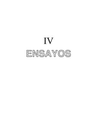 IV
ENSAYOS

 