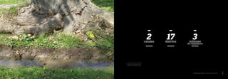 11Canales Surco y Huatica: 2000 años regando vida
Detalle de acequia derivada del
canal Surco en parque de Lima.
2canales
17distritos
3millones
de ciudadanos
 