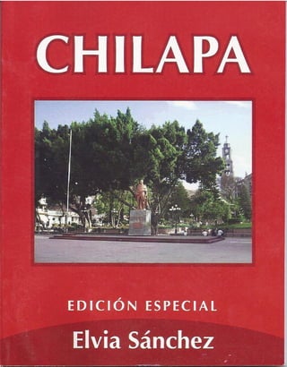 Libro "Chilapa"