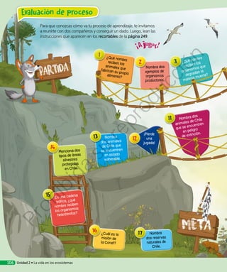 Para que conozcas cómo va tu proceso de aprendizaje, te invitamos
a reunirte con dos compañeros y conseguir un dado. Luego, lean las
instrucciones que aparecen en los recortables de la página 249.
¿Qué nombre
reciben los
animales quefabrican su propioalimento?
¿Qué nombre
reciben los
organismos que
degradan la
materia muerta?
Nombra dos
ejemplos de
organismos
productores.
Nombra dos
animales de Chile
que se encuentren
en peligro
de extinción.
Nombra
dos animales
de Chile que
se encuentren
en estado
vulnerable.
¡Pierde
una
jugada!
Nombra
dos reservas
naturales de
Chile.
Menciona dos
tipos de áreas
silvestres
protegidas
en Chile.
En una cadena
trófica, ¿qué
nombre reciben
los organismos
heterótrofos?
¿Cuál es la
misión de
la Conaf?
Evaluación de proceso
Unidad 2 • La vida en los ecosistemas106
Prohibida
su
reproducción
 