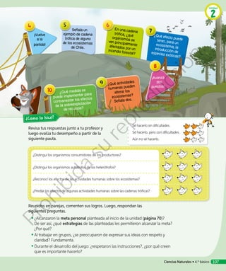 Revisa tus respuestas junto a tu profesor y
luego evalúa tu desempeño a partir de la
siguiente pauta.
Reunidos en parejas, comenten sus logros. Luego, respondan las
siguientes preguntas.
◾◾ ¿Alcanzaron la meta personal planteada al inicio de la unidad (página 70)?
De ser así, ¿qué estrategias de las planteadas les permitieron alcanzar la meta?
¿Por qué?
◾◾ 	Al trabajar en grupos, ¿se preocuparon de expresar sus ideas con respeto y
claridad? Fundamenta.
◾◾ 	Durante el desarrollo del juego: ¿respetaron las instrucciones?, ¿por qué creen
que es importante hacerlo?
¿Distinguí los organismos consumidores de los productores?
¿Distinguí los organismos autótrofos de los heterótrofos?
¿Reconocí los efectos de las actividades humanas sobre los ecosistemas?
¿Predije los efectos de algunas actividades humanas sobre las cadenas tróficas?
¿Cómo lo hice?
Sé hacerlo sin dificultades.
Sé hacerlo, pero con dificultades.
Aún no sé hacerlo.
Señala un
ejemplo de cadena
trófica de alguno
de los ecosistemas
de Chile.
En una cadenatrófica, ¿qué
organismos seven principalmenteafectados por unincendio forestal?
¡Vuelve
a la
partida!
¿Qué efecto puedetener, para unecosistema, laintroducción deespecies exóticas?
¿Qué actividades
humanas pueden
alterar los
ecosistemas?
Señala dos.
¡Avanza
dos
puestos!
¿Qué medida se
puede implementar para
contrarrestar los efectos
de la sobreexplotación
de recursos?
Unidad
2
Ciencias Naturales • 4.º básico 107
Prohibida
su
reproducción
 