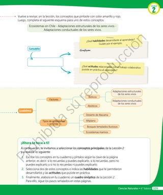 Graficar.
Ciencias Naturales • 4.º básico 109
Unidad
2
Vuelve a revisar, en la lección, los conceptos que pintaste con color amarillo y rojo.
Luego, completa el siguiente esquema para uno de estos conceptos:
Ecosistemas en Chile - Adaptaciones estructurales de los seres vivos -
Adaptaciones conductuales de los seres vivos.
¿Qué habilidades desarrollaste al aprenderlo?
Guíate por el ejemplo.
¿Qué actitudes relacionadas con el trabajo colaborativo
pusiste en práctica al aprenderlo?
Ecosistema
Factores
Tipos de ecosistemas
en Chile
Altiplano
Desierto de Atacama
Bosques templados lluviosos
Ecosistemas marinos
Bióticos
Abióticos
Concepto
¡Ahora te toca a ti!
A continuación, te invitamos a seleccionar los conceptos principales de la Lección 2
y a realizar lo siguiente:
1.	 Escribe los conceptos en tu cuaderno y píntalos según la clave de la página
anterior, es decir: si lo recuerdas y puedes explicarlo, si lo recuerdas, pero no
puedes explicarlo o si no lo recuerdas ni puedes explicarlo.
2.	 Selecciona dos de estos conceptos e indica las habilidades que te permitieron
desarrollarlos y las actitudes que pusiste en práctica.
3.	 Finalmente, elabora en tu cuaderno un cuadro sinóptico de la Lección 2.
Para ello, sigue los pasos señalados en estas páginas.
Adaptaciones estructurales
de los seres vivos
Adaptaciones conductuales
de los seres vivos
Prohibida
su
reproducción
 
