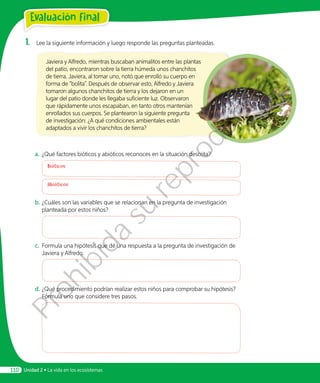 Evaluación final
Unidad 2 • La vida en los ecosistemas110
1.	 Lee la siguiente información y luego responde las preguntas planteadas.
Javiera y Alfredo, mientras buscaban animalitos entre las plantas
del patio, encontraron sobre la tierra húmeda unos chanchitos
de tierra. Javiera, al tomar uno, notó que enrolló su cuerpo en
forma de “bolita”. Después de observar esto, Alfredo y Javiera
tomaron algunos chanchitos de tierra y los dejaron en un
lugar del patio donde les llegaba suficiente luz. Observaron
que rápidamente unos escapaban, en tanto otros mantenían
enrollados sus cuerpos. Se plantearon la siguiente pregunta
de investigación: ¿A qué condiciones ambientales están
adaptados a vivir los chanchitos de tierra?
a.	¿Qué factores bióticos y abióticos reconoces en la situación descrita?
Bióticos:
Abióticos:
b.	¿Cuáles son las variables que se relacionan en la pregunta de investigación
planteada por estos niños?
c.	 Formula una hipótesis que dé una respuesta a la pregunta de investigación de
Javiera y Alfredo.
d.	¿Qué procedimiento podrían realizar estos niños para comprobar su hipótesis?
Fórmula uno que considere tres pasos.
Prohibida
su
reproducción
 