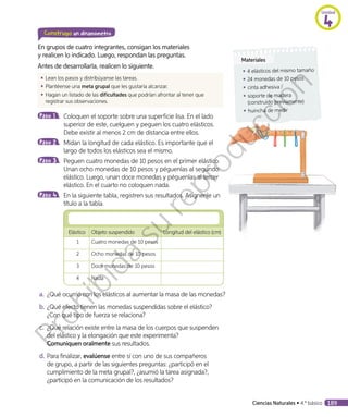 Construyo un dinamómetro
En grupos de cuatro integrantes, consigan los materiales
y realicen lo indicado. Luego, respondan las preguntas.
Antes de desarrollarla, realicen lo siguiente.
◾◾ Lean los pasos y distribúyanse las tareas.
◾◾ Plantéense una meta grupal que les gustaría alcanzar.
◾◾ Hagan un listado de las dificultades que podrían afrontar al tener que
registrar sus observaciones.
Paso 1 	Coloquen el soporte sobre una superficie lisa. En el lado
superior de este, cuelguen y peguen los cuatro elásticos.
Debe existir al menos 2 cm de distancia entre ellos.
Paso 2 	Midan la longitud de cada elástico. Es importante que el
largo de todos los elásticos sea el mismo.
Paso 3 	Peguen cuatro monedas de 10 pesos en el primer elástico.
Unan ocho monedas de 10 pesos y péguenlas al segundo
elástico. Luego, unan doce monedas y péguenlas al tercer
elástico. En el cuarto no coloquen nada.
Paso 4 	En la siguiente tabla, registren sus resultados. Asígnenle un
título a la tabla.
	
Elástico Objeto suspendido Longitud del elástico (cm)
1 Cuatro monedas de 10 pesos
2 Ocho monedas de 10 pesos
3 Doce monedas de 10 pesos
4 Nada
a.	 ¿Qué ocurrió con los elásticos al aumentar la masa de las monedas?
b.	¿Qué efecto tienen las monedas suspendidas sobre el elástico?
¿Con qué tipo de fuerza se relaciona?
c.	 ¿Qué relación existe entre la masa de los cuerpos que suspenden
del elástico y la elongación que este experimenta?
Comuniquen oralmente sus resultados.
d.	Para finalizar, evalúense entre sí con uno de sus compañeros
de grupo, a partir de las siguientes preguntas: ¿participó en el
cumplimiento de la meta grupal?, ¿asumió la tarea asignada?,
¿participó en la comunicación de los resultados?
Materiales
◾◾ 4 elásticos del mismo tamaño
◾◾ 24 monedas de 10 pesos
◾◾ cinta adhesiva
◾◾ soporte de madera
(construido previamente)
◾◾ huincha de medir
Unidad
4
Ciencias Naturales • 4.º básico 189
Prohibida
su
reproducción
 