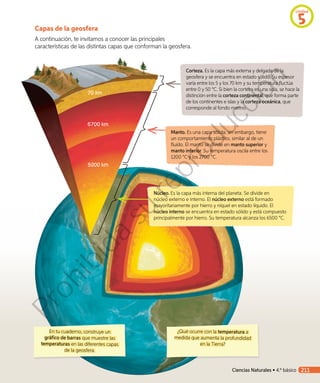 Capas de la geosfera
A continuación, te invitamos a conocer las principales
características de las distintas capas que conforman la geosfera.
En tu cuaderno, construye un
gráfico de barras que muestre las
temperaturas en las diferentes capas
de la geosfera.
¿Qué ocurre con la temperatura a
medida que aumenta la profundidad
en la Tierra?
Corteza. Es la capa más externa y delgada de la
geosfera y se encuentra en estado sólido. Su espesor
varía entre los 5 y los 70 km y su temperatura fluctúa
entre 0 y 50 °C. Si bien la corteza es una sola, se hace la
distinción entre la corteza continental, que forma parte
de los continentes e islas y la corteza oceánica, que
corresponde al fondo marino.
Núcleo. Es la capa más interna del planeta. Se divide en
núcleo externo e interno. El núcleo externo está formado
mayoritariamente por hierro y níquel en estado líquido. El
núcleo interno se encuentra en estado sólido y está compuesto
principalmente por hierro. Su temperatura alcanza los 6500 °C.
Manto. Es una capa sólida, sin embargo, tiene
un comportamiento plástico, similar al de un
fluido. El manto se divide en manto superior y
manto inferior. Su temperatura oscila entre los
1200 °C y los 2700 °C.
5000 km
6700 km
70 km
Unidad
5
Ciencias Naturales • 4.º básico 211
Prohibida
su
reproducción
 