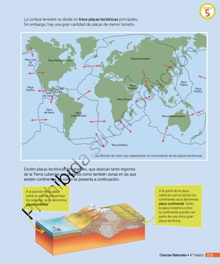 ¿Entre qué placas tectónicas se
encuentra Chile?
Placa Norteamericana
Placa
Sudamericana
Placa
de Nazca
Placa Antártica
Placa
Pacífica
Placa Juan
de
Fuca
Placa
Pacífica
Placa
FilipinaPlaca
Arábica
Placa Euroasiática
Placa Africana
Placa Indoaustraliana
Placa del
Caribe
Placa
de Cocos
Existen placas tectónicas tan grandes, que abarcan tanto regiones
de la Tierra cubiertas por océanos como también zonas en las que
existen continentes, tal como se presenta a continuación.
A la parte de la placa
sobre la cual se ubican los
continentes se la denomina
placa continental. Tanto
la placa oceánica como
la continental pueden ser
parte de una única gran
placa tectónica.
A la porción de la placa
sobre la cual se encuentran
los océanos, se le denomina
placa oceánica.
La corteza terrestre se divide en trece placas tectónicas principales.
Sin embargo, hay una gran cantidad de placas de menor tamaño.
↖ Las flechas de color rojo representan el movimiento de las placas tectónicas.
Unidad
5
Ciencias Naturales • 4.º básico 215
Prohibida
su
reproducción
 