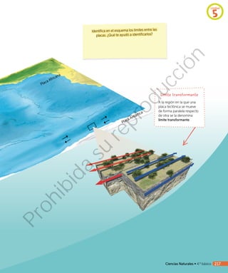 Placa Antártica
Placa Africana
Identifica en el esquema los límites entre las
placas. ¿Qué te ayudó a identificarlos?
A la región en la que una
placa tectónica se mueve
de forma paralela respecto
de otra se la denomina
límite transformante.
Límite transformante
Unidad
5
Ciencias Naturales • 4.º básico 217
Prohibida
su
reproducción
 