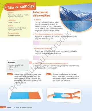 La formación
de la cordillera
Observo
Francisca y Joaquín desean saber
de qué manera el fenómeno de
subducción que se produce entre las
placas de Nazca y la Sudamericana dio
origen a la cordillera de los Andes.
Formulo una pregunta de investigación
A partir de la inquietud de Francisca y Joaquín, formula una
pregunta de investigación.
Formulo una hipótesis
Propón una hipótesis que dé una respuesta anticipada a la
pregunta de investigación formulada.
Planifico y ejecuto una actividad experimental
En parejas, consigan los materiales y realicen el procedimiento
que se describe a continuación.
Objetivo:
Representar, mediante un modelo,
el proceso de subducción.
Habilidades:
Evaluar y comunicar.
Actitud:
Manifestar un estilo de trabajo
riguroso y perseverante.
Tiempo estimado:
1 hora y 30 minutos.
Materiales
◾◾ 2 trozos de cartulina de
20 cm x 20 cm
◾◾ harina
Paso 1 	 Ubiquen uno de los trozos de cartulina
debajo del otro y agreguen una capa
de harina sobre ambas cartulinas. Es
importante que la harina quede lo más
uniforme posible.
Paso 2 	 Muevan muy lentamente, hacia el
centro, uno de los trozos de cartulina,
manteniendo fijo el otro. Observen lo
que ocurre con la harina.
218
Taller de ciencias
Unidad 5 • La Tierra: un planeta dinámico
Prohibida
su
reproducción
 