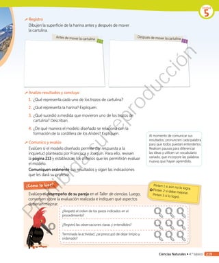 Registro
Dibujen la superficie de la harina antes y después de mover
la cartulina.
Antes de mover la cartulina
Después de mover la cartulina
Analizo resultados y concluyo
1.	 ¿Qué representa cada uno de los trozos de cartulina?
2.	¿Qué representa la harina? Expliquen.
3.	¿Qué sucedió a medida que movieron uno de los trozos de
cartulina? Describan.
4.	¿De qué manera el modelo diseñado se relaciona con la
formación de la cordillera de los Andes? Expliquen.
Comunico y evalúo
Evalúen si el modelo diseñado permite dar respuesta a la
inquietud planteada por Francisca y Joaquín. Para ello, revisen
la página 213 y establezcan los criterios que les permitirán evaluar
el modelo.
Comuniquen oralmente sus resultados y sigan las indicaciones
que les dará su profesor.
Evalúen el desempeño de su pareja en el Taller de ciencias. Luego,
conversen sobre la evaluación realizada e indiquen qué aspectos
deberían mejorar.
¿Cómo lo hice?
¿Respetó el orden de los pasos indicados en el
procedimiento?
¿Registró las observaciones claras y entendibles?
Terminada la actividad, ¿se preocupó de dejar limpio y
ordenado?
Pinten 1 si aún no lo logra.Pinten 2 si debe mejorar.Pinten 3 si lo logró.
Al momento de comunicar sus
resultados, pronuncien cada palabra
para que todos puedan entenderlos.
Realicen pausas para diferenciar
las ideas y utilicen un vocabulario
variado, que incorpore las palabras
nuevas que hayan aprendido.
Unidad
5
Ciencias Naturales • 4.º básico 219
Prohibida
su
reproducción
 