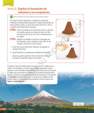 Tema 2:	 Explico la formación de
volcanes y sus erupciones
Antes de empezar escucha las indicaciones que te dará tu profesor.
En grupos de tres integrantes, consigan los siguientes
materiales: botella plástica pequeña, vinagre, bicarbonato de
sodio, greda o arcilla, un trozo de cartón de 20 cm x 20 cm
y realicen el procedimiento indicado.
Paso 1 	 Sitúen la botella en el centro del cartón y cúbranla
con arcilla o greda, de modo de hacer con ella
una estructura cónica, tal como se representa en
la imagen.
Paso 2 	 Añadan a la botella un par de cucharaditas de
bicarbonato. Luego, agreguen unos 100 mL de
vinagre y observen lo que sucede.
a.	 ¿Qué fue lo que observaron después de agregar el
vinagre? Describan.
b.	¿Qué fenómeno se representa mediante la actividad?
c.	 ¿Qué te gustaría aprender de los volcanes? ¿Por qué
consideras importante saber sobre ellos?
El objetivo de la actividad anterior fue construir un modelo de un
volcán, sin embargo, con este no es posible representar ciertos
aspectos, como las altas temperaturas y el proceso de su formación.
El origen de muchos de los volcanes se encuentra estrechamente
ligado al continuo movimiento de las placas tectónicas. Por ejemplo,
los volcanes presentes en Chile, a lo largo de la cordillera de los
Andes, deben su formación a la compresión entre las placas de
Nazca y Sudamericana.
Volcán Osorno
Lección 2
232 Unidad 5 • La Tierra: un planeta dinámico
Prohibida
su
reproducción
 