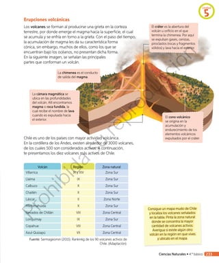 Consigue un mapa mudo de Chile
y localiza los volcanes señalados
en la tabla. Pinta la zona natural
donde se concentra la mayor
cantidad de volcanes activos.
Averigua si existe algún otro
volcán en la región en que vives
y ubícalo en el mapa.
Erupciones volcánicas
Los volcanes se forman al producirse una grieta en la corteza
terrestre, por donde emerge el magma hacia la superficie, el cual
se acumula y se enfría en torno a la grieta. Con el paso del tiempo,
la acumulación de magma les da su característica forma
cónica, sin embargo, muchos de ellos, como los que se
encuentran bajo los océanos, no presentan dicha forma.
En la siguiente imagen, se señalan las principales
partes que conforman un volcán.
Volcán Región Zona natural
Villarrica IX y XIV Zona Sur
Llaima IX Zona Sur
Calbuco X Zona Sur
Chaitén X Zona Sur
Láscar II Zona Norte
Michimahuida X Zona Sur
Nevados de Chillán VIII Zona Central
Lonquimay IX Zona Sur
Copahue VIII Zona Central
Azul-Quizapú VII Zona Central
Fuente: Sermageomin (2015). Rankinkg de los 90 volcanes activos de
Chile. (Adaptación).
El cráter es la abertura del
volcán u orificio en el que
termina la chimenea. Por aquí
se expulsan gases, cenizas,
piroclastos (rocas y fragmentos
sólidos) y lava hacia el exterior.
La cámara magmática se
ubica en las profundidades
del volcán. Allí encontramos
magma o roca fundida, la
cual recibe el nombre de lava
cuando es expulsada hacia
el exterior.
El cono volcánico
se origina en la
acumulación y
endurecimiento de los
elementos volcánicos
expulsados por el cráter.
La chimenea es el conducto
de salida del magma.
Chile es uno de los países con mayor actividad volcánica.
En la cordillera de los Andes, existen alrededor de 3000 volcanes,
de los cuales 500 son considerados activos. A continuación,
te presentamos los diez volcanes más activos de Chile.
Unidad
5
Ciencias Naturales • 4.º básico 233
Prohibida
su
reproducción
 
