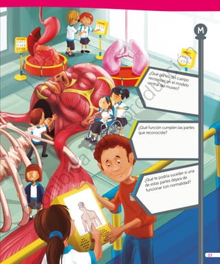 ¿Qué función cumplen las partes
que reconociste?
¿Qué partes del cuerpo
reconoces en el modelo
central del museo?
¿Qué te podría suceder si una
de estas partes dejara de
funcionar con normalidad?
23
Prohibida
su
reproducción
 