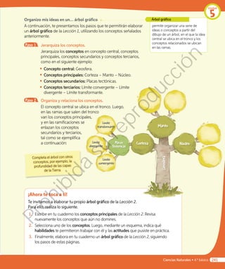Organizo mis ideas en un… árbol gráfico
A continuación, te presentamos los pasos que te permitirán elaborar
un árbol gráfico de la Lección 1, utilizando los conceptos señalados
anteriormente.
Paso 1 	 Jerarquiza los conceptos.
Jerarquiza los conceptos en concepto central, conceptos
principales, conceptos secundarios y conceptos terciarios,
como en el siguiente ejemplo:
◾◾ Concepto central: Geosfera.
◾◾ Conceptos principales: Corteza – Manto – Núcleo.
◾◾ Conceptos secundarios: Placas tectónicas.
◾◾ Conceptos terciarios: Límite convergente – Límite
divergente – Límite transformante.
Paso 2 	 Organiza y relaciona los conceptos.
El concepto central se ubica en el tronco. Luego,
en las ramas que salen del tronco
van los conceptos principales,
y en las ramificaciones se
enlazan los conceptos
secundarios y terciarios,
tal como se ejemplifica
a continuación:
permite organizar una serie de
ideas o conceptos a partir del
dibujo de un árbol, en el que la idea
central se ubica en el tronco y los
conceptos relacionados se ubican
en las ramas.
Árbol gráfico
¡Ahora te toca a ti!
Te invitamos a elaborar tu propio árbol gráfico de la Lección 2.
Para ello, realiza lo siguiente.
1.	 Escribe en tu cuaderno los conceptos principales de la Lección 2. Revisa
nuevamente los conceptos que aún no domines.
2.	 Selecciona uno de los conceptos. Luego, mediante un esquema, indica qué
habilidades te permitieron trabajar con él y las actitudes que pusiste en práctica.
3.	 Finalmente, elabora en tu cuaderno un árbol gráfico de la Lección 2, siguiendo
los pasos de estas páginas.
Completa el árbol con otros
conceptos, por ejemplo, la
profundidad de las capas
de la Tierra.
Manto
Corteza NúcleoPlacas
Tectónicas
Geosfera
Límite
transformante
Límite
divergente
Límite
convergente
Unidad
5
Ciencias Naturales • 4.º básico 241
Prohibida
su
reproducción
 