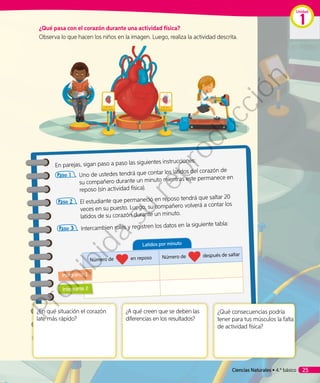 ¿Qué pasa con el corazón durante una actividad física?
Observa lo que hacen los niños en la imagen. Luego, realiza la actividad descrita.
En parejas, sigan paso a paso las siguientes instrucciones:
Paso 1 	 Uno de ustedes tendrá que contar los latidos del corazón de
su compañero durante un minuto mientras este permanece en
reposo (sin actividad física).
Paso 2 	 El estudiante que permaneció en reposo tendrá que saltar 20
veces en su puesto. Luego, su compañero volverá a contar los
latidos de su corazón durante un minuto.
Paso 3 	 Intercambien roles y registren los datos en la siguiente tabla:
	
¿En qué situación el corazón
late más rápido?
¿A qué creen que se deben las
diferencias en los resultados?
¿Qué consecuencias podría
tener para tus músculos la falta
de actividad física?
Latidos por minuto
Número de en reposo Número de después de saltar
Integrante 1
Integrante 2
Ciencias Naturales • 4.º básico 25
Unidad
1
Prohibida
su
reproducción
 