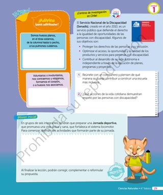 En grupos de seis integrantes, tendrán que preparar una Jornada deportiva,
que promueva una vida activa y sana, que fortalezca el sistema locomotor.
Para comenzar, definan seis actividades que formarán parte de su jornada.
Al finalizar la lección, podrán corregir, complementar o reformular
su propuesta.
El Servicio Nacional de la Discapacidad
(Senadis), creado en el año 2010, es un
servicio público que defiende el derecho
a la igualdad de oportunidades de las
personas con discapacidad. Algunos de
sus objetivos son:
•	 Proteger los derechos de las personas y su inclusión.
•	 	Optimizar el acceso, la oportunidad y la calidad de los
productos y servicios para personas con discapacidad.
•	 	Contribuir al desarrollo de su vida autónoma e
independiente a través de la ejecución de planes,
programas y proyectos.
1 	 Reúnete con un compañero y piensen de qué
manera se puede contribuir a construir una escuela
más inclusiva.
2 	 ¿Qué acciones de la vida cotidiana demuestran
respeto por las personas con discapacidad?
¡Misión inicial!
¡Centros de investigación
en Chile!
Somos huesos planos,
en el tórax estamos,
de la columna hasta tu pecho,
a tus pulmones cuidamos.
Voluntarios o involuntarios,
nos contraemos y relajamos,
formamos el corazón,
o a huesos nos asociamos.
Ciencias Naturales • 4.º básico 29
Unidad
1
Prohibida
su
reproducción
 