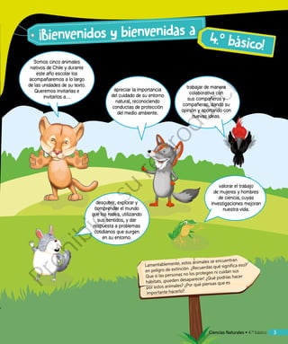 3
Somos cinco animales
nativos de Chile y durante
este año escolar los
acompañaremos a lo largo
de las unidades de su texto.
Queremos invitarlas e
invitarlos a…
apreciar la importancia
del cuidado de su entorno
natural, reconociendo
conductas de protección
del medio ambiente.
trabajar de manera
colaborativa con
sus compañeros y
compañeras, dando su
opinión y aportando con
nuevas ideas.
descubrir, explorar y
comprender el mundo
que los rodea, utilizando
sus sentidos, y dar
respuesta a problemas
cotidianos que surgen
en su entorno.
valorar el trabajo
de mujeres y hombres
de ciencia, cuyas
investigaciones mejoran
nuestra vida.
Ciencias Naturales • 4.º básico
¡Bienvenidos y bienvenidas a
Lamentablemente, estos animales se encuentran
en peligro de extinción. ¿Recuerdas qué significa eso?
Que si las personas no los protegen ni cuidan sus
hábitats, ¡pueden desaparecer! ¿Qué podrías hacer
por estos animales? ¿Por qué piensas que es
importante hacerlo?
4.º básico!
Prohibida
su
reproducción
 