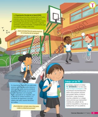 Es importante mantener una adecuada
postura corporal para evitar dolores y
deformación de la columna vertebral.
Se recomienda caminar con el cuerpo
derecho, sentarse con la espalda
recta y apoyada en un respaldo, usar
la mochila en ambos hombros y, al
momento de agacharse a recoger
objetos del suelo, hacerlo flectando
las rodillas.
¿Qué deberían corregir estas niñas para
cuidar su sistema locomotor?
La Organización Mundial de la Salud (OMS)
recomienda que los niños y jóvenes de 5 a 17 años
inviertan como mínimo 60 minutos diarios en
actividades físicas de intensidad moderada a fuerte,
como puede ser practicar un deporte u organizar
caminatas, paseos en bicicleta, o simplemente jugar
con amigos y amigas, entre otras.
En parejas, ingresen el código
18TN4B039a en el sitio web
http://codigos.auladigital.cl. Ahí
encontrarán recomendaciones
sobre cómo prevenir lesiones
que pueden dañar el sistema
locomotor. Luego, busquen
recortes y elaboren un collage,
sobre acciones que representen
medidas de cuidado de los
sistemas esquelético y muscular, y
explíquenlas con sus palabras.
rabajo con las TIC
¿Qué actividad física te gusta practicar
en compañía de tus amigos?
Unidad
1
Ciencias Naturales • 4.º básico 39
Prohibida
su
reproducción
 