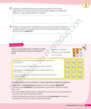 2.	Si quisieran investigar acerca de los cambios de tamaño y forma que
experimentan los músculos durante el movimiento utilizando el modelo que
elaboraron, ¿qué variables deberían considerar?
3.	Planteen una pregunta de investigación que relacione las variables indicadas en
la pregunta anterior. (Para apoyar la formulación de la pregunta de investigación,
pueden revisar la página 40).
Revisa tus respuestas junto a tu profesor y luego
evalúa tu desempeño a partir de la siguiente
pauta.
Comenta tus logros con un compañero. Luego, respondan las siguientes preguntas.
◾◾ ¿Alcanzaron la meta personal planteada al inicio de la unidad (página 26)?
De ser así, ¿qué estrategias de las planteadas les permitieron alcanzar la meta?,
¿por qué?
◾◾ En las actividades experimentales: ¿respetaron las instrucciones y los procedimientos
descritos?, ¿por qué es importante hacerlo?
◾◾ 	A partir del estudio de esta lección: ¿qué acciones de autocuidado aprendieron?,
¿las pusieron en práctica?, ¿cómo podrían demostrarlo?
Sé hacerlo sin dificultades.
Sé hacerlo, pero con dificultades.
Aún no sé hacerlo.
¿Cómo lo hice?
¿Identifiqué las estructuras del sistema locomotor que intervienen en
el movimiento?
¿Reconocí las funciones de las estructuras del sistema locomotor?
¿Expliqué cómo intervienen las estructuras del sistema locomotor en
el movimiento?
¿Formulé una pregunta de investigación que relaciona correctamente las
variables indicadas?
Unidad
1
Ciencias Naturales • 4.º básico 43
Prohibida
su
reproducción
 