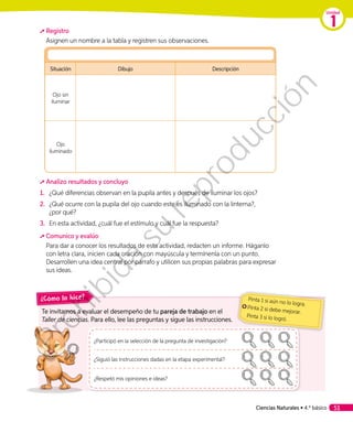 Registro
Asignen un nombre a la tabla y registren sus observaciones.
Situación Dibujo Descripción
Ojo sin
iluminar
Ojo
iluminado
	Analizo resultados y concluyo
1.	 ¿Qué diferencias observan en la pupila antes y después de iluminar los ojos?
2.	 ¿Qué ocurre con la pupila del ojo cuando este es iluminado con la linterna?,
¿por qué?
3.	 En esta actividad, ¿cuál fue el estímulo y cuál fue la respuesta?
	Comunico y evalúo
Para dar a conocer los resultados de esta actividad, redacten un informe. Háganlo
con letra clara, inicien cada oración con mayúscula y termínenla con un punto.
Desarrollen una idea central por párrafo y utilicen sus propias palabras para expresar
sus ideas.
Te invitamos a evaluar el desempeño de tu pareja de trabajo en el
Taller de ciencias. Para ello, lee las preguntas y sigue las instrucciones.
¿Cómo lo hice?
¿Participó en la selección de la pregunta de investigación?
¿Siguió las instrucciones dadas en la etapa experimental?
¿Respetó mis opiniones e ideas?
Pinta 1 si aún no lo logra.
Pinta 2 si debe mejorar.
Pinta 3 si lo logró.
Ciencias Naturales • 4.º básico 51
Unidad
1
Prohibida
su
reproducción
 