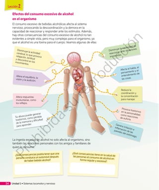 Efectos del consumo excesivo de alcohol
en el organismo
El consumo excesivo de bebidas alcohólicas afecta al sistema
nervioso, provocando la descoordinación y la demora en la
capacidad de reaccionar y responder ante los estímulos. Además,
hay otras consecuencias del consumo excesivo de alcohol no tan
evidentes a simple vista, pero muy complejas para el organismo, ya
que el alcohol es una toxina para el cuerpo. Veamos algunas de ellas:
Disminuye la actividadcerebral, lo que provocarelajación, lentitudy descontrol en losmovimientos.
Altera el equilibrio, la
visión y la audición.
Altera respuestas
involuntarias, como
los reflejos.
Su abuso puede generar
trastornos, como pérdida
de la memoria y dificultad
para aprender.
Disminuye la capacidad de
reaccionar ante situaciones
imprevistas.
Afecta el habla, el
pensamiento y el
entendimiento de
las cosas.
Reduce la
coordinación y
la concentración
para manejar.
Provoca trastornosen la personalidad,como reaccionesde euforia.
Genera irritación e
inflamación de las
paredes del estómago.
La ingesta excesiva de alcohol no solo afecta al organismo, sino
también las relaciones personales con los amigos y familiares de
quien lo consume.
¿Qué consecuencias podría tener que una
persona conduzca un automóvil después
de haber bebido alcohol?
¿Qué consecuencias tiene en la salud delas personas el consumo de alcohol enforma regular y excesiva?
Unidad 1 • Sistemas locomotor y nervioso54
Lección 2
Prohibida
su
reproducción
 