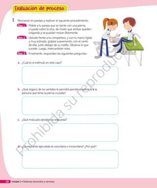 1.	 Reúnanse en parejas y realicen el siguiente procedimiento:
Paso 1 	 Pídele a tu pareja que se siente con una pierna
cruzada sobre la otra, de modo que ambas queden
colgando y se puedan mover libremente.
Paso 2 	 Ubícate frente a tu compañero, y con tu mano rígida
y muy estirada, golpea suavemente, con el canto
de ella, justo debajo de su rodilla. Observa lo que
sucede. Luego, intercambien roles.
Paso 3 	 Finalmente, respondan las siguientes preguntas:
a.	 ¿Cuál es el estímulo en este caso?
b.	 ¿Qué órgano de los sentidos le permitió percibir el estímulo a la
persona que tenía la pierna cruzada?
c.	 ¿Qué músculos ejecutan la respuesta?
d.	 ¿La respuesta ejecutada es voluntaria o involuntaria? ¿Por qué?
Evaluación de proceso
Unidad 1 • Sistemas locomotor y nervioso58
Prohibida
su
reproducción
 