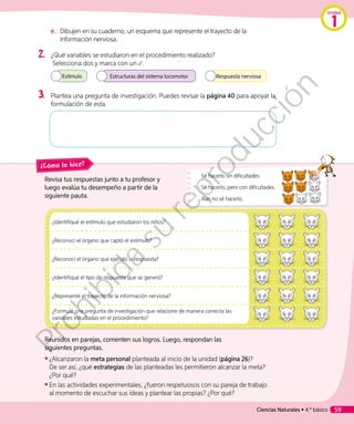 e.	 Dibujen en su cuaderno, un esquema que represente el trayecto de la
información nerviosa.
2.	 ¿Qué variables se estudiaron en el procedimiento realizado?
Selecciona dos y marca con un .
Estructuras del sistema locomotor Respuesta nerviosaEstímulo
3.	 Plantea una pregunta de investigación. Puedes revisar la página 40 para apoyar la
formulación de esta.
Revisa tus respuestas junto a tu profesor y
luego evalúa tu desempeño a partir de la
siguiente pauta.
Reunidos en parejas, comenten sus logros. Luego, respondan las
siguientes preguntas.
◾◾ ¿Alcanzaron la meta personal planteada al inicio de la unidad (página 26)?
De ser así, ¿qué estrategias de las planteadas les permitieron alcanzar la meta?
¿Por qué?
◾◾ En las actividades experimentales, ¿fueron respetuosos con su pareja de trabajo
al momento de escuchar sus ideas y plantear las propias? ¿Por qué?
Sé hacerlo sin dificultades.
Sé hacerlo, pero con dificultades.
Aún no sé hacerlo.
¿Cómo lo hice?
¿Identifiqué el estímulo que estudiaron los niños?
¿Reconocí el órgano que captó el estímulo?
¿Reconocí el órgano que ejecutó la respuesta?
¿Identifiqué el tipo de respuesta que se generó?
¿Representé el trayecto de la información nerviosa?
¿Formulé una pregunta de investigación que relacione de manera correcta las
variables estudiadas en el procedimiento?
Ciencias Naturales • 4.º básico 59
Unidad
1
Prohibida
su
reproducción
 