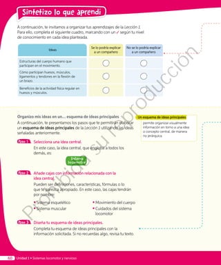 A continuación, te invitamos a organizar tus aprendizajes de la Lección 1.
Para ello, completa el siguiente cuadro, marcando con un según tu nivel
de conocimiento en cada idea planteada.
Ideas
Se lo podría explicar
a un compañero
No se lo podría explicar
a un compañero
Estructuras del cuerpo humano que
participan en el movimiento.
Cómo participan huesos, músculos,
ligamentos y tendones en la flexión de
un brazo.
Beneficios de la actividad física regular en
huesos y músculos.
Organizo mis ideas en un… esquema de ideas principales
A continuación, te presentamos los pasos que te permitirán elaborar
un esquema de ideas principales de la Lección 1 utilizando las ideas
señaladas anteriormente.
Paso 1 	 Selecciona una idea central.
	 En este caso, la idea central, que engloba a todos los
demás, es:
Sistema
Iocomotor
Paso 2 	 Añade cajas con información relacionada con la
idea central.
	 Pueden ser definiciones, características, fórmulas o lo
que te parezca apropiado. En este caso, las cajas tendrán
por nombre:
◾◾ Sistema esquelético
◾◾ Sistema muscular
◾◾ Movimiento del cuerpo
◾◾ Cuidados del sistema
locomotor
Paso 3 	 Diseña tu esquema de ideas principales.
	 Completa tu esquema de ideas principales con la
información solicitada. Si no recuerdas algo, revisa tu texto.
permite organizar visualmente
información en torno a una idea
o concepto central, de manera
no jerárquica.
Un esquema de ideas principales
Sintetizo lo que aprendí
Unidad 1 • Sistemas locomotor y nervioso60
Prohibida
su
reproducción
 