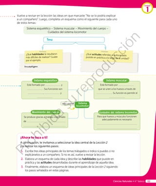 Vuelve a revisar en la lección las ideas en que marcaste “No se lo podría explicar
a un compañero”. Luego, completa un esquema como el siguiente para cada uno
de estos temas:
Sistema esquelético – Sistema muscular – Movimiento del cuerpo –
Cuidados del sistema locomotor
¿Qué habilidades te resultaron
más difíciles de realizar? Guíate
por el ejemplo.
¿Qué actitudes referidas al autocuidado
pusiste en práctica a lo largo de la unidad?
ema:
Idea central Sistema
Iocomotor
Sistema esquelético
Está formado por y
. Sus funciones son
, y
Sistema muscular
Está formado por
que se unen a los huesos a través de
. Su función es permitir el
.
Movimiento del cuerpo
Se produce gracias al trabajo coordinado
de
Cuidados del sistema Iocomotor
Para que huesos y músculos funcionen
adecuadamente es necesario
¡Ahora te toca a ti!
A continuación, te invitamos a seleccionar la idea central de la Lección 2
y a realizar los siguientes pasos:
1.	 Escribe tres ideas principales de los temas trabajados e indica si puedes o no
explicárselos a un compañero. Si no es así, vuelve a revisar la lección.
2.	 	Elabora un esquema de cada idea y describe las habilidades que pusiste en
práctica y las actitudes desarrolladas durante el aprendizaje de aquella idea.
3.	 	Finalmente, elabora un esquema de ideas principales de la Lección 2 siguiendo
los pasos señalados en estas páginas.
Investigar.
Unidad
1
Ciencias Naturales • 4.º básico 61
Prohibida
su
reproducción
 