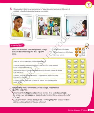 ¿Cómo lo hice?
5.	 Observa las imágenes y marca con un aquellas acciones que contribuyen al
cuidado y fortalecimiento del sistema locomotor.
¿Seguí las instrucciones de la actividad experimental?
¿Formulé una pregunta de investigación que se relaciona correctamente
con la actividad experimental?
¿Reconocí las estructuras del sistema locomotor y describí la función del tendón
y del ligamento?
¿Distinguí el tipo de respuesta nerviosa y logré describir el recorrido de la
información nerviosa?
¿Distinguí entre acciones que fortalecen el sistema locomotor y aquellas
que lo dañan?
Sé hacerlo sin dificultades.
Sé hacerlo, pero con dificultades.
Aún no sé hacerlo.
Revisa tus respuestas junto a tu profesor y luego
evalúa tu desempeño a partir de la siguiente
pauta.
Reunidos en parejas, comenten sus logros. Luego, respondan las
siguientes preguntas.
◾◾ ¿Alcanzaron la meta personal planteada al inicio de la unidad (página 26)?
De ser así, ¿qué estrategias de las planteadas les permitieron alcanzar la meta?
¿Por qué?
◾◾ 	¿Qué aprendieron sobre el autocuidado y el trabajo riguroso en esta unidad?
¿Cómo podrías aplicarlo en tu vida cotidiana?
Unidad
1
Ciencias Naturales • 4.º básico 65
Prohibida
su
reproducción
 