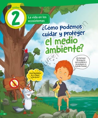 ambiente?
el medio
La vida en los
ecosistemas
¡Qué maravilloso
es mi hogar!
¿Les gusta?
¡Es hermoso!
Me pregunto
qué sucedería si
se produjera un
incendio forestal.
¿Cómo podemos
cuidar y proteger
Unidad
2
66
Prohibida
su
reproducción
 