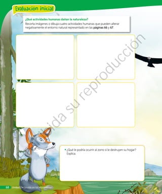 ¿Qué actividades humanas dañan la naturaleza?
Recorta imágenes o dibuja cuatro actividades humanas que pueden alterar
negativamente el entorno natural representado en las páginas 66 y 67.
◾◾ ¿Qué le podría ocurrir al zorro si le destruyen su hogar?
Explica.
Unidad 2 • La vida en los ecosistemas68
Evaluación inicial
Prohibida
su
reproducción
 