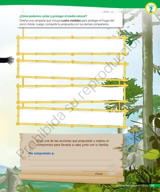 ¿Cómo podemos cuidar y proteger el medio natural?
Diseña una campaña que incluya cuatro medidas para proteger el hogar del
zorro chilote. Luego, comparte tu propuesta con tus demás compañeros.
Elige una de las acciones que propusiste y realiza un
compromiso para llevarla a cabo junto con tu familia.
Me comprometo a:
Firma
Ciencias Naturales • 4.º básico 69
Unidad
2
Prohibida
su
reproducción
 