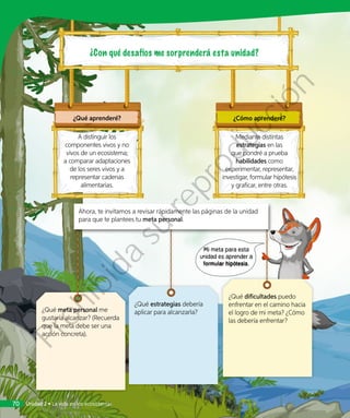 ¿Qué meta personal me
gustaría alcanzar? (Recuerda
que la meta debe ser una
acción concreta).
¿Qué estrategias debería
aplicar para alcanzarla?
¿Qué dificultades puedo
enfrentar en el camino hacia
el logro de mi meta? ¿Cómo
las debería enfrentar?
¿Qué aprenderé?
A distinguir los
componentes vivos y no
vivos de un ecosistema;
a comparar adaptaciones
de los seres vivos y a
representar cadenas
alimentarias.
¿Cómo aprenderé?
Mediante distintas
estrategias en las
que pondré a prueba
habilidades como
experimentar, representar,
investigar, formular hipótesis
y graficar, entre otras.
Ahora, te invitamos a revisar rápidamente las páginas de la unidad
para que te plantees tu meta personal.
Mi meta para esta
unidad es aprender a
formular hipótesis.
Unidad 2 • La vida en los ecosistemas70
Prohibida
su
reproducción
 