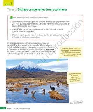 Tema 1:	 Distingo componentes de un ecosistema
En la naturaleza existen componentes que determinan las
características de un ambiente; por ejemplo, la temperatura, el
tipo de suelo, la humedad y los organismos, entre otros. Estos
componentes, al relacionarse entre sí, constituyen un ecosistema,
el que está formado por todos los seres vivos que habitan un lugar
determinado y por las características físicas de este.
Observa la imagen y marca los
componentes vivos presentes en
ella. ¿Qué otros componentes
vivos podrían formar parte de este
ecosistema? Escríbelos.
↖ Altiplano de la
Zona Norte de Chile.
¿Qué características
te permiten
diferenciar un
componente vivo
de uno sin vida?
Antes de empezar, escucha las indicaciones que te dará tu profesor.
a.	 Los invitamos a observar el patio del colegio e identificar los componentes vivos
y no vivos que allí pueden encontrar. Dibújenlos y píntenlos en sus cuadernos de
colores distintos para diferenciarlos.
b.	¿Qué saben sobre los componentes vivos y no vivos de un ecosistema?
¿Qué les interesaría aprender?
c.	 Observen las imágenes y piensen en tres preguntas que les gustaría responder
al finalizar el estudio de estas páginas.
Lección 1
Unidad 2 • La vida en los ecosistemas74
Prohibida
su
reproducción
 