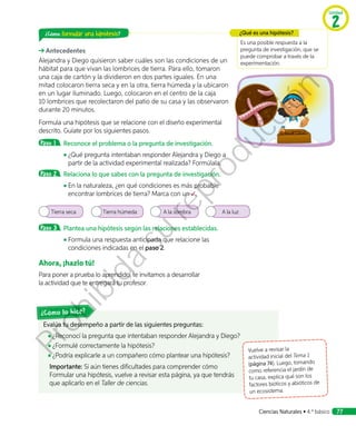 Evalúa tu desempeño a partir de las siguientes preguntas:
◾◾ ¿Reconocí la pregunta que intentaban responder Alejandra y Diego?
◾◾ ¿Formulé correctamente la hipótesis?
◾◾ ¿Podría explicarle a un compañero cómo plantear una hipótesis?
Importante: Si aún tienes dificultades para comprender cómo
Formular una hipótesis, vuelve a revisar esta página, ya que tendrás
que aplicarlo en el Taller de ciencias.
¿Cómo lo hice?
¿Cómo formular una hipótesis?
Antecedentes
Alejandra y Diego quisieron saber cuáles son las condiciones de un
hábitat para que vivan las lombrices de tierra. Para ello, tomaron
una caja de cartón y la dividieron en dos partes iguales. En una
mitad colocaron tierra seca y en la otra, tierra húmeda y la ubicaron
en un lugar iluminado. Luego, colocaron en el centro de la caja
10 lombrices que recolectaron del patio de su casa y las observaron
durante 20 minutos.
Formula una hipótesis que se relacione con el diseño experimental
descrito. Guíate por los siguientes pasos.
Paso 1 	Reconoce el problema o la pregunta de investigación.
◾◾ ¿Qué pregunta intentaban responder Alejandra y Diego a
partir de la actividad experimental realizada? Formúlala.
Paso 2 	Relaciona lo que sabes con la pregunta de investigación.
◾◾ En la naturaleza, ¿en qué condiciones es más probable
encontrar lombrices de tierra? Marca con un .
	
Tierra seca Tierra húmeda A la sombra A la luz
Paso 3 	Plantea una hipótesis según las relaciones establecidas.
◾◾ Formula una respuesta anticipada que relacione las
condiciones indicadas en el paso 2.
Ahora, ¡hazlo tú!
Para poner a prueba lo aprendido, te invitamos a desarrollar
la actividad que te entregará tu profesor.
Es una posible respuesta a la
pregunta de investigación, que se
puede comprobar a través de la
experimentación.
¿Qué es una hipótesis?
Vuelve a revisar la
actividad inicial del Tema 1
(página 74). Luego, tomando
como referencia el jardín de
tu casa, explica qué son los
factores bióticos y abióticos de
un ecosistema.
Unidad
2
Ciencias Naturales • 4.º básico 77
Prohibida
su
reproducción
 